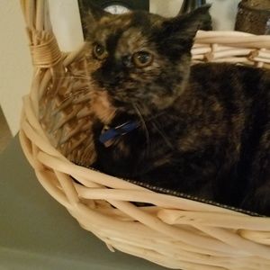 Meet your Posher, Marcee